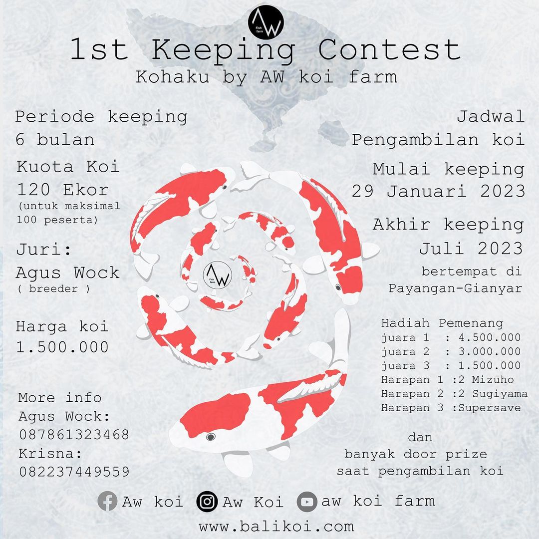 1 St Keeping Contest Kohaku by AW Koi Farm